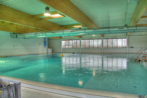 Nemo 33